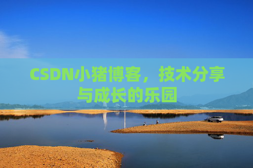 CSDN小猪博客，技术分享与成长的乐园